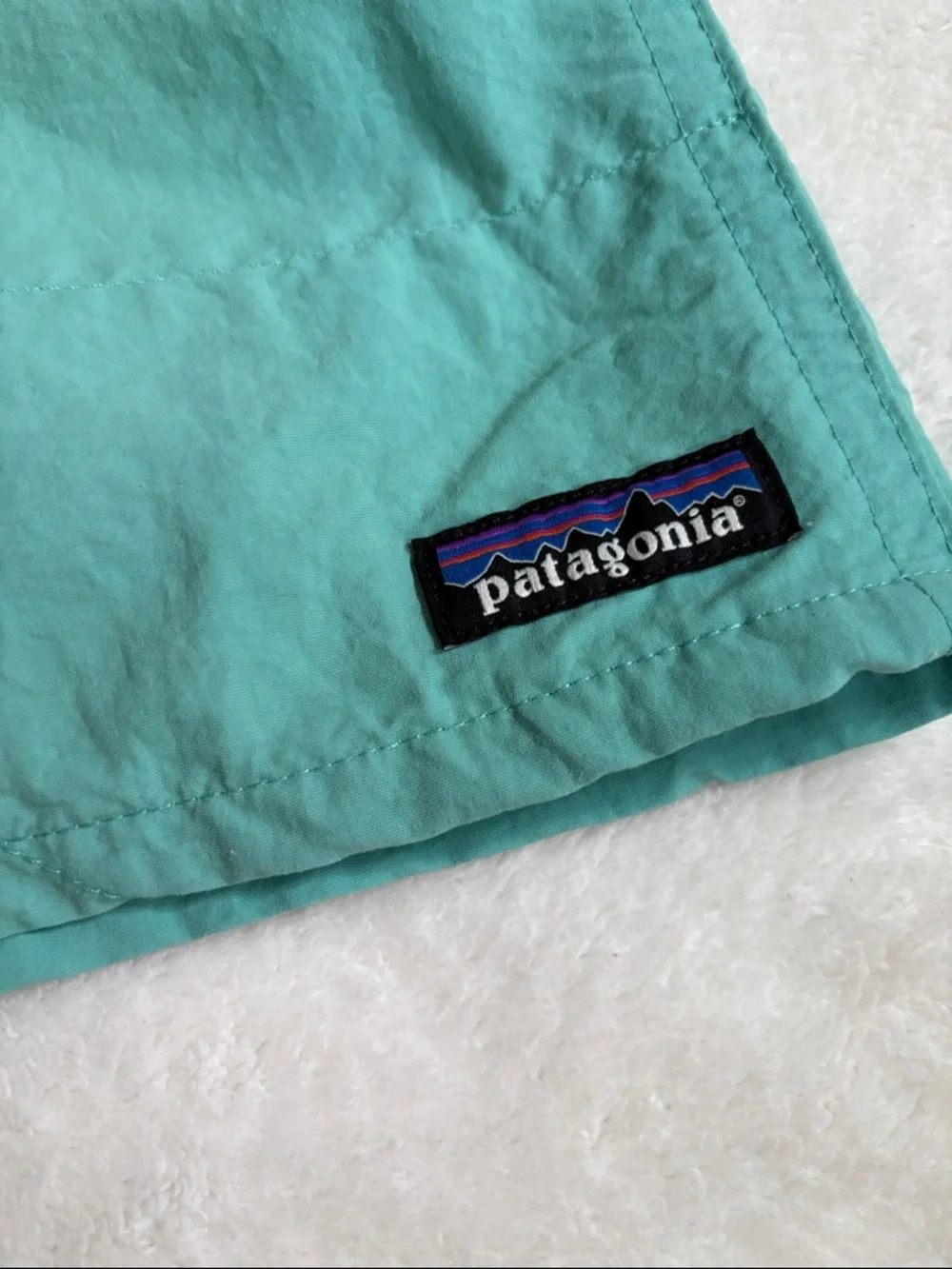 Patagonia Teal Green Lightweight Unlined Shorts